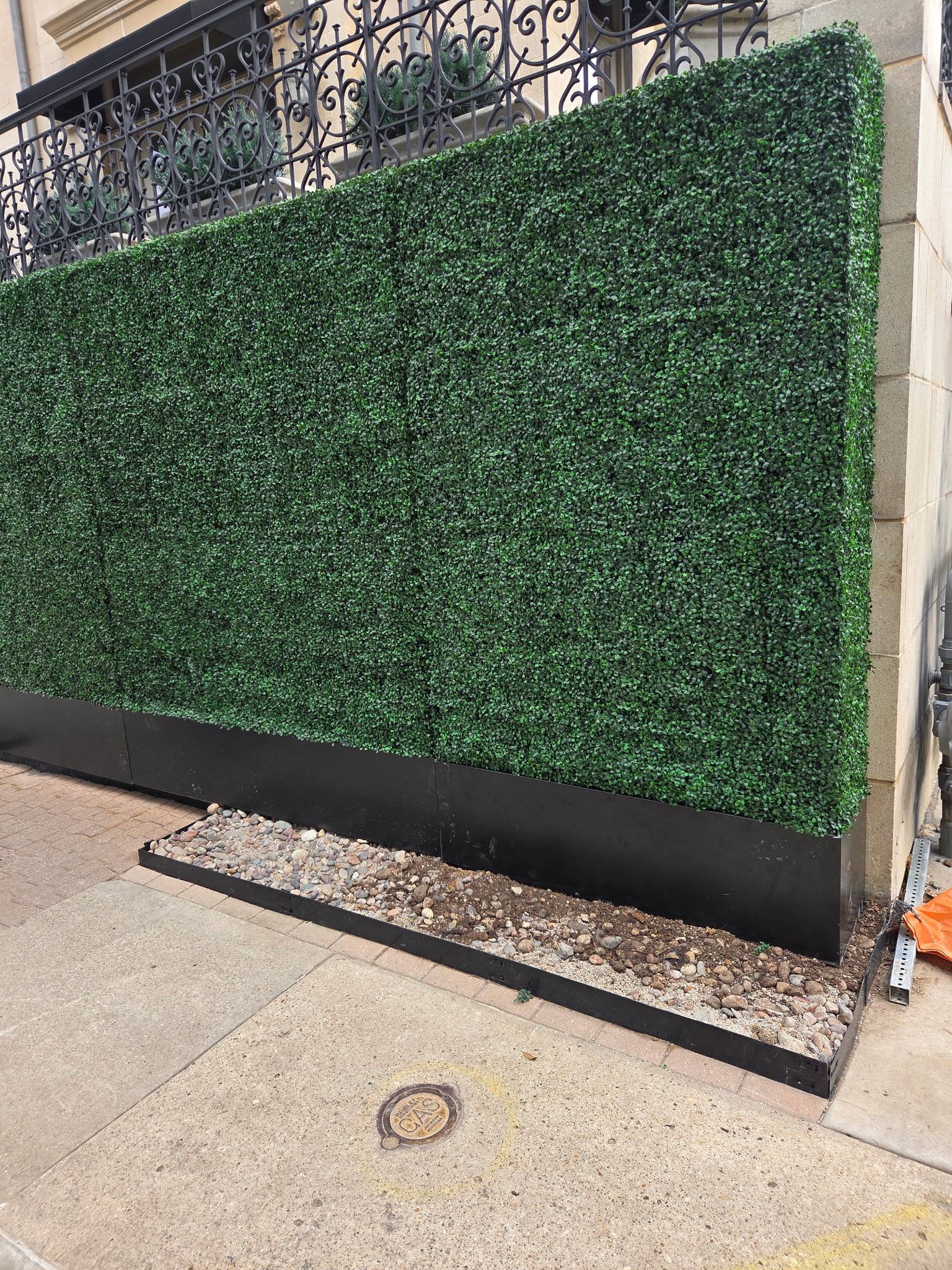 Green hedge wall installation